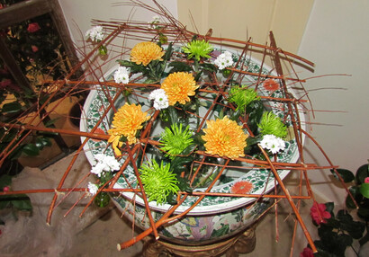 Kamélie a chrysantémy, poslové dálného východu, jarní květinová výstava 2015